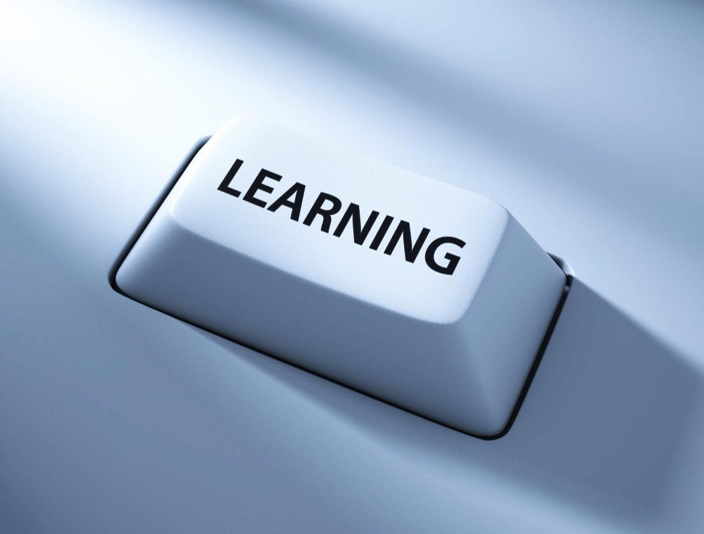 What Makes Employees Actually Adopt New Tech Tools? 8 1146